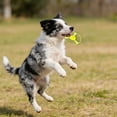thumbnail image 2 of Cat Flying Disc Launcher Toy Set with 5 Propellers, Interactive Fetch Toy for Indoor Cats & Dogs, High-Visibility Saucers for Hunting Chasing Play, Outdoor Pet Gift, 2 of 8