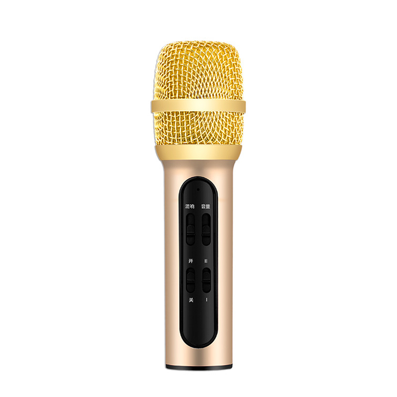 Professional Karaoke Wireless Condenser Microphone w/Echo Sound Card