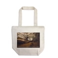 thumbnail image 1 of Mammoth Cave, Kentucky, Cave Interior (100% Cotton Canvas Reusable Tote Bag), 1 of 3