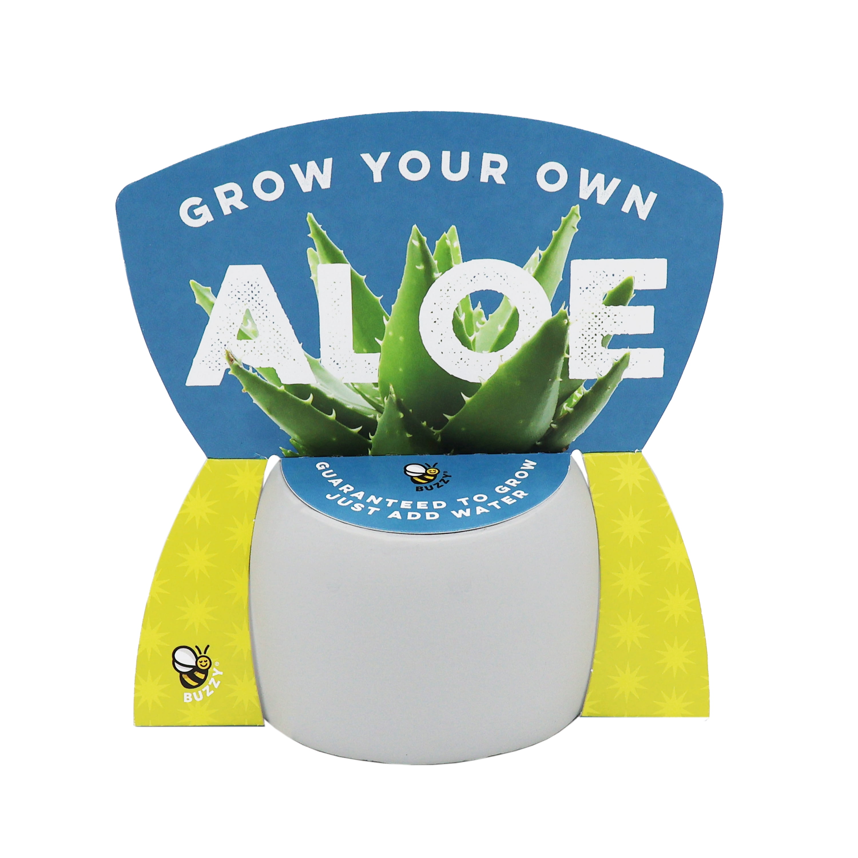 Peaceful Emoji Pot Grow Kit Trio (Set of 3) – Chamomile, Moss Rose & Aloe – Cute Mini Plant Kits for Desks, Dorm Rooms, Windowsills & Gifts