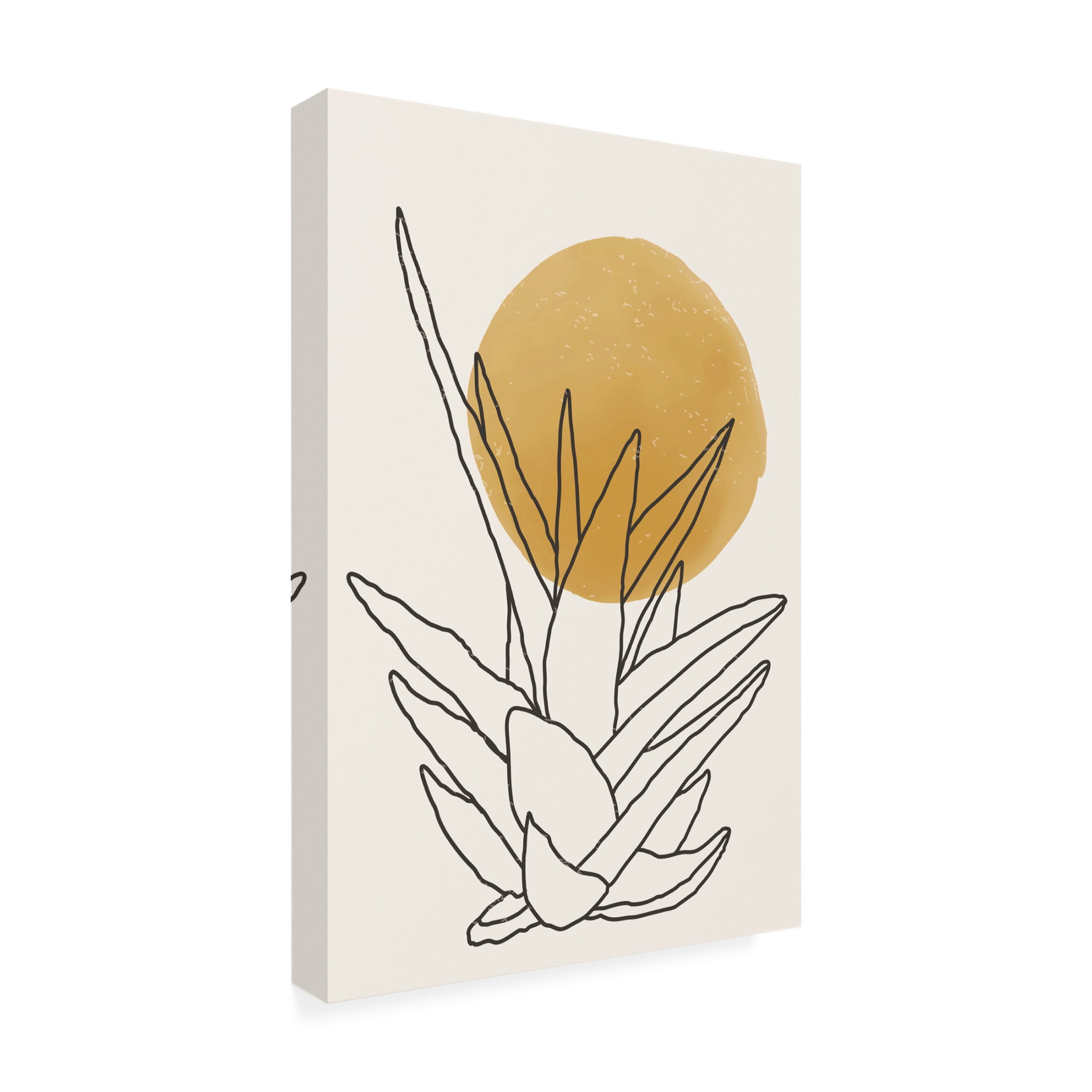 Trademark Fine Art jay stanley Abstract Agave Sunshine 2 Canvas Wall Art