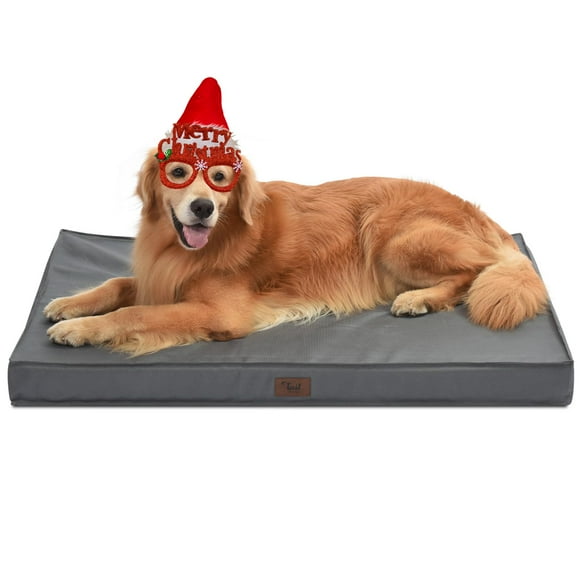 Cama para perros Tail Stories Outdoor, impermeable, XL, con funda de refrigeración