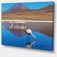 thumbnail image 2 of Beautiful Flamingos in Bolivia - African Landscape Canvas Art Print, 2 of 3