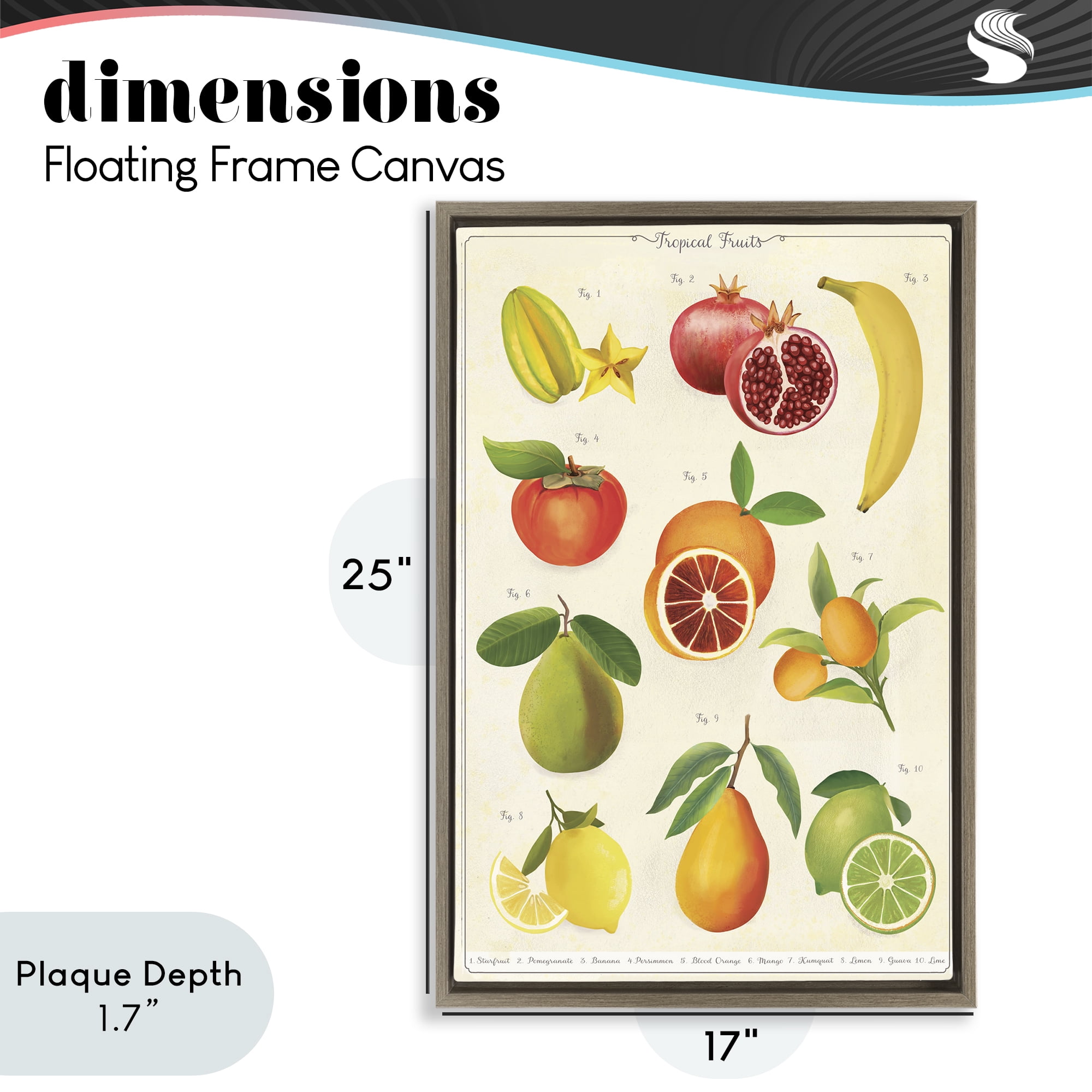 Stupell Industries Vintage Tropical Fruit Studies Brown Framed Floater Canvas Wall Art, design by Diane Neukirch