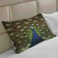 thumbnail image 2 of Peacock Knitted Quilt Pillowcover, Portrait of Animal Feathers out Vibrant Colors Birds Summer Garden, Standard King Size Pillow Cover for Bedroom, 30" x 20", Navy Blue Green Brown, by Ambesonne, 2 of 2