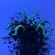 thumbnail image 4 of 7 Piezas SeaMonster Tentáculos Pulpo Tentáculo Planta Estaca Estacas de Jardín para Decoración de Plantas Estacas de Pulpo Tentáculo A, 4 of 5