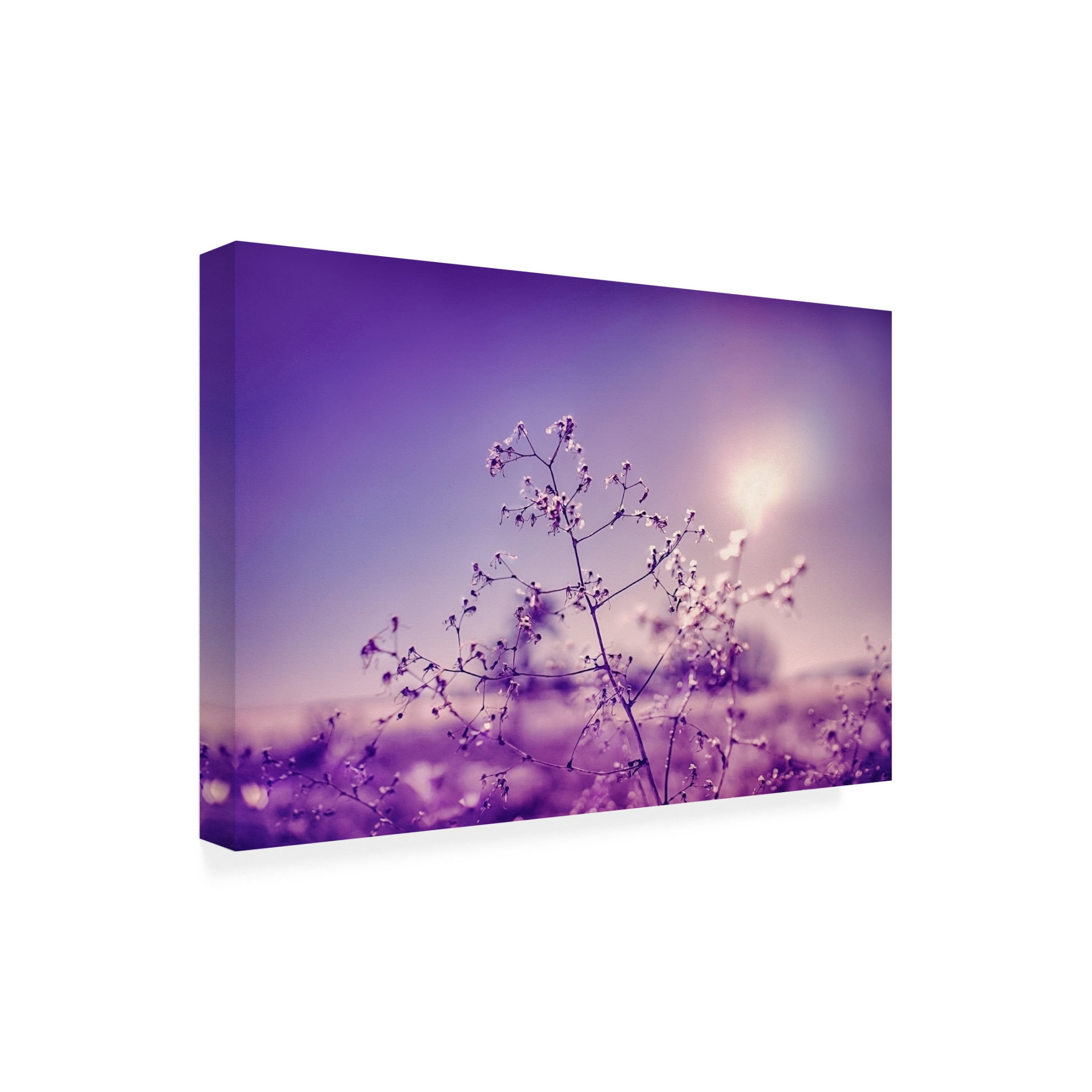 Canvas Wall Art - Ingo Menhard 'Winter Symphony' Wall Art for Living Room, Bedroom, or Office D?cor by Trademark Fine Art - 24 x 16 Inches