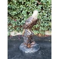 thumbnail image 6 of Large Eagle Bronze Statue Mounted on Marble -  Size: 21"L x 23"W x 35"H., 6 of 6