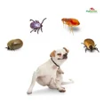 thumbnail image 2 of Shampoo Insecticida PALPERRO contra Pulga Garrapata y Acaro 250 ml, 2 of 3