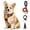 Orange, variant on BRIOPAWS Dog Harness, No Pull Puppy Dog Vest Harness, Reflective No-Choke, Essential Pets Accessories with Easy Control Handle,Pink