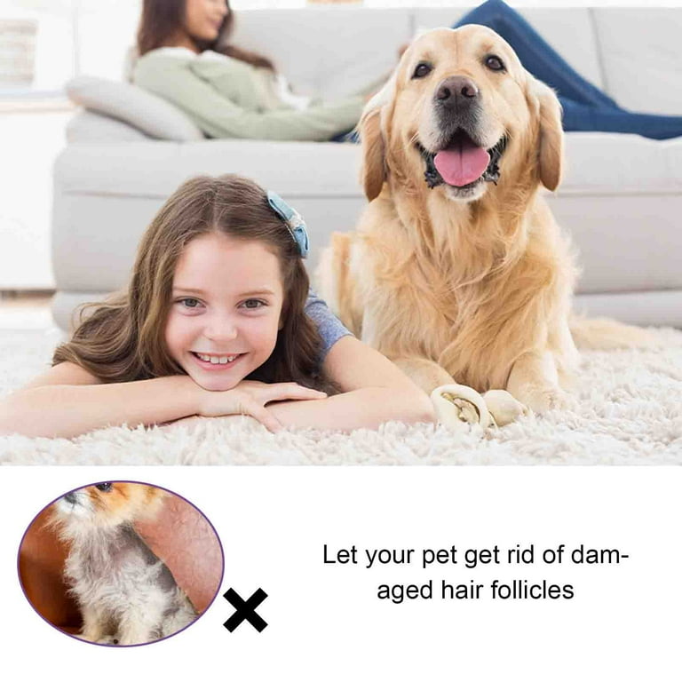 Pet hair spray cheap