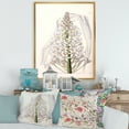 thumbnail image 2 of Designart 'White Vintage Orchid I' Traditional Framed Canvas Wall Art Print, 2 of 5