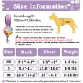 thumbnail image 4 of Dalrosia Puppy Dog Harness and Leash Set Purple Lace Floral Dog Vest Harness for Small Dogs Cute Soft Mesh Escape Proof Pet Cat Vest Harness, 4 of 8