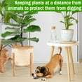 thumbnail image 7 of ZeeDix 3 Pcs Coconut Fibers Mulch Ring Tree Protector Mat, 14 Inch Coco Coir Tree Protection, Indoor/Outdoor Plant Cover, 7 of 7