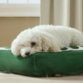 thumbnail image 2 of TOWN & COUNTRY LUXE CuddleTown Matisse Everwash® Pillow Pet Bed, Water Repellent Floor Pillow, Machine Washable Cover, Soft & Calming, Green, Medium 36"x28"x4", 2 of 6