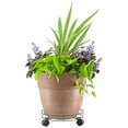 thumbnail image 5 of Basic Plant Caddy, 5 of 6