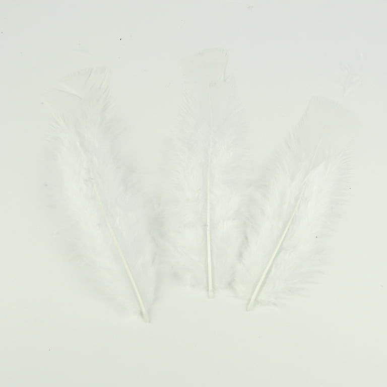 Hello Hobby White Feathers - Arts and Craft - 4.75 x 0.67 x 7.75