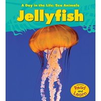 Jellyfish