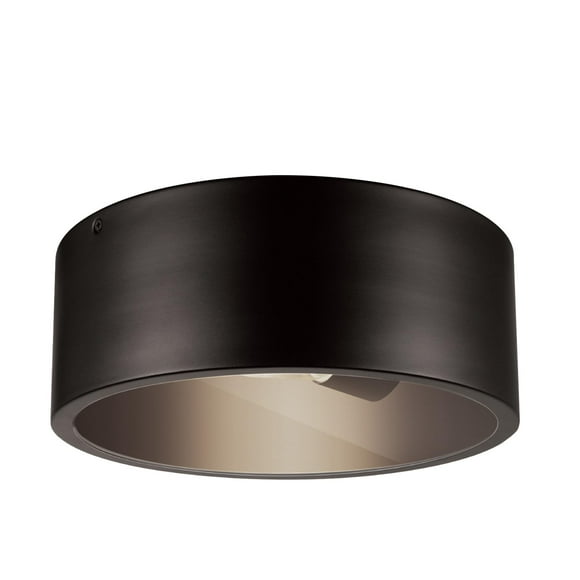 Lámpara de techo Globe Electric Teagan 1-Light Dark Bronze