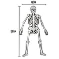 thumbnail image 2 of Figura Esqueleto Padi Para Armar La Huesudita Día De Muertos 6 Piezas, 2 of 3