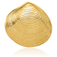 thumbnail image 3 of 14K Solid Yellow Gold Clam Shell Slide Necklace Chain Pendant Charm with chain 20inch, 3 of 8