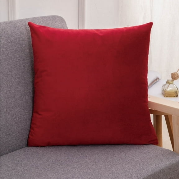 Nmkwnr 1 Pack Soft Velvet Throw Pillow Covers Square Cushion Covers for Office Couch Sofa, 16x16inch