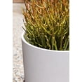 thumbnail image 5 of Veradek Mason Series Kona 10" Plastic-Stone Planter - White, 5 of 10