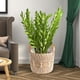 thumbnail image 5 of Maceta tejida, cesta, contenedores, decoración, maceta, cestas de almacenamiento para jardín, almacenamiento de plantas, pícnic al aire libre Líneas blancas, 5 of 7