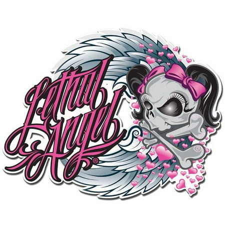 

Past Time Signs LETH189 22 x 18 in. Lethal Angel Skull Pink Bows Plasma Metal Sign