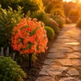 thumbnail image 4 of Artificial Flowers with Ground Spikes for Outdoor - UV-Resistant Fake Plants, No Fade Faux Plants for Porch, Garden, Yard & Patio Decor, 4 of 9