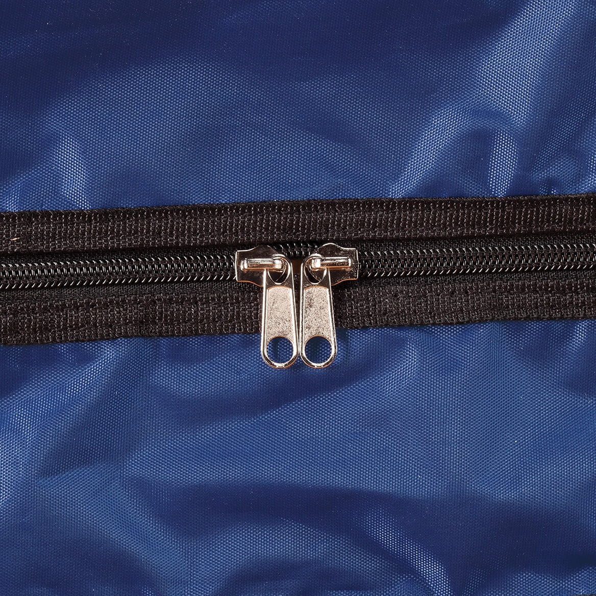 WalterDrake Shoe Storage Case