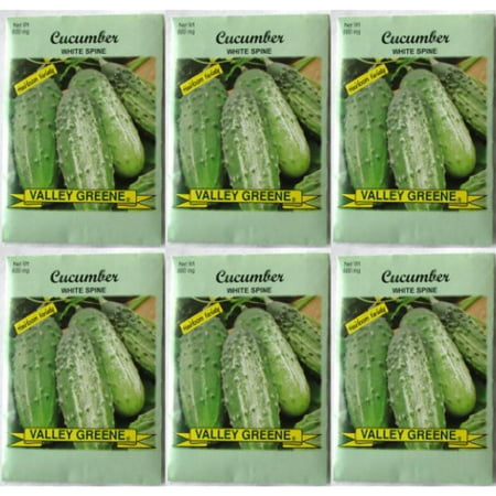 Valley Greene (6 Pack) 600 mg/Package Cucumber White Spine Heirloom Variety