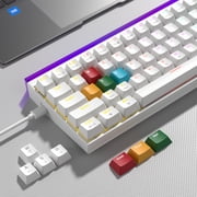 COSTOM WK68 60% Gaming Keyboard Wired, OEM Profile, Programable, RGB Backlit Light Box, 64 Keys Hot Swap RGB Cream Key Board for PC Computer Win/MAC