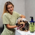thumbnail image 5 of Precious Tails 2 in 1 Pet Shampoo and Conditioner with Oatmeal Aloe Vera Cucumber 1000ml, 5 of 7