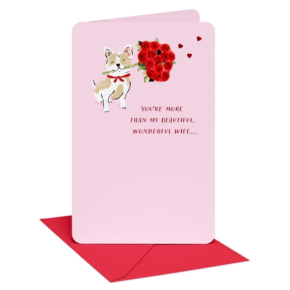 American Greetings Valentine's Day Card for Wife (Wonderful Wife)