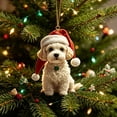 thumbnail image 6 of 2d Acrylic Christmas Tree Ornament, Friendship Themed Flat Hanging Decor, Festive Pendant for Car Interior, Home Wall Window Holiday, Lazyguy, 6 of 9