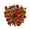 Bronze, variant on Expert Gardener 18" Bronze Chrysanthemums Live Plant Mums Flowers in 1 Gallon Grower Pot