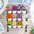 3-Tier Flower Display Cart with 12 Buckets, Black Metal Plant Stand ...