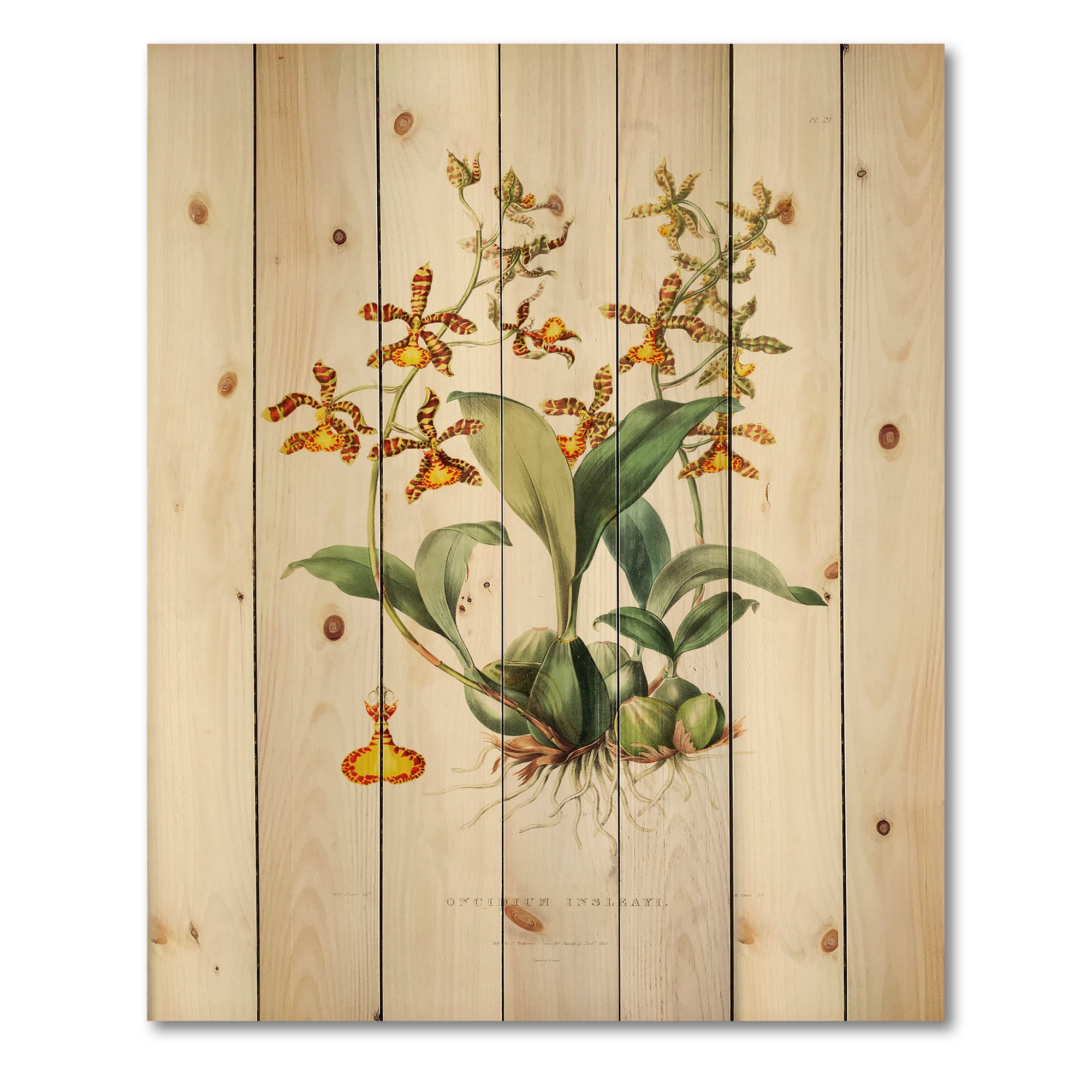 Designart 'Ancient Flower I' Traditional Print on Natural Pine Wood