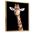 thumbnail image 3 of Designart 'Close Up Portrait Of A Giraffe On Black V' Farmhouse Framed Canvas Wall Art Print, 3 of 5