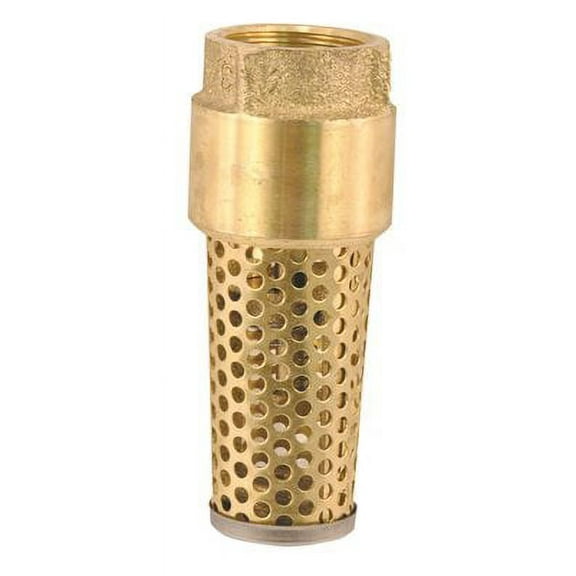 PROPLUS® BRASS FOOT VALVE, 1 IN. per 3 Each