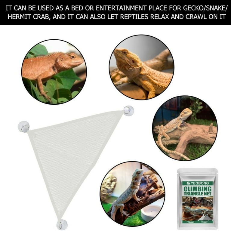 2PCS Bearded Dragon Lizard Hammock Reptile Hammock Lounger Ladder