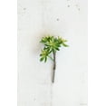 thumbnail image 2 of ARTIFICIAL SUCCULENT STEM, 2 of 2