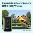 thumbnail image 6 of Birdfy Smart Bird Feeder with Camera, Solar-Powered, Auto-Capture Bird Videos & Motion Detection, AI Identification with 99% Accuracy, Perfect Gift for Bird Lovers, 6 of 10