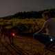 thumbnail image 3 of Paquete de 2 luces de seguridad para perros con USB recargable, que cambian de color, 3 of 5