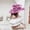 Hot Pink, variant on HAIJIE sun hat women Womens Summer Dress Hat Wide Leaf Flower Bridal Shower Hat Sun Hats Beach Hat Summer Fedora Hats for Women Sunning Hat Roll up Visors for Women Outdoor Sunhat Womens Travel Visor