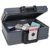 First Alert 0.17 ft³ Key Lock Gray Fire-Resistant Safe