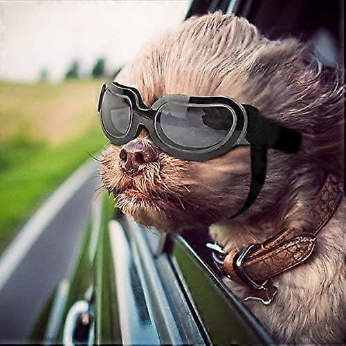Shopping Mall Dog Goggles Anti-UV Adjustable Transparent Dog Sunglasses Easy to Wear Windproof Motorcycle Puppy Glasses (Transparent Black)