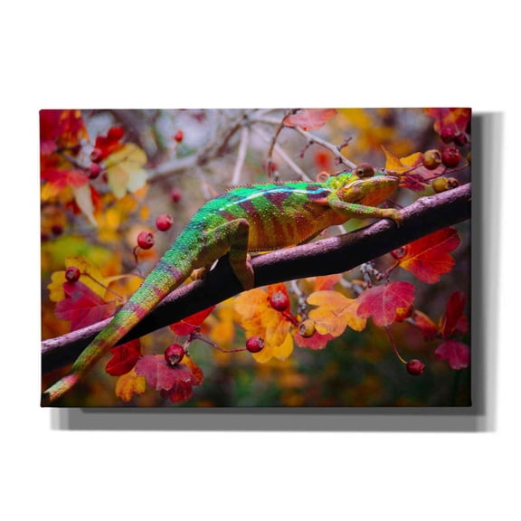 Epic Graffiti 'Chameleons' by Ata Alishahi, Giclee Canvas Wall Art, 26"x18"