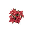 thumbnail image 3 of Holiday Time 2.0QT Multicolor Poinsettia Live Plant Decorative Pot Cover, 3 of 8